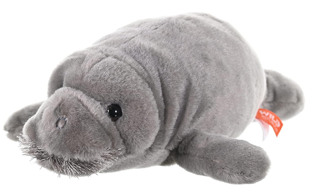 Manatee plush toy (25cm)