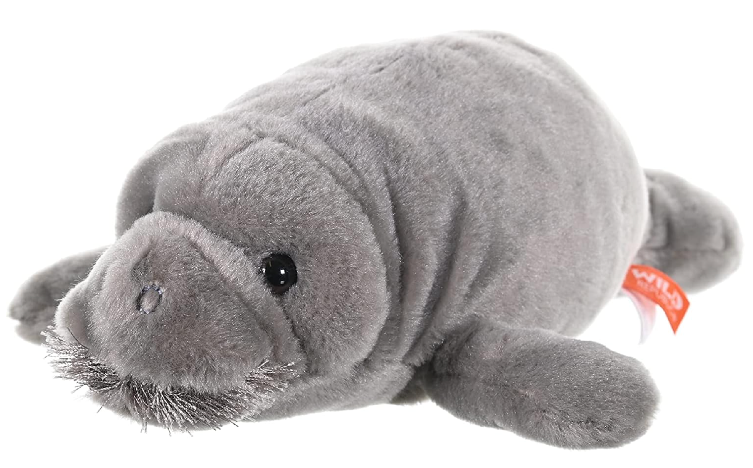 Manatee plush toy (25cm)