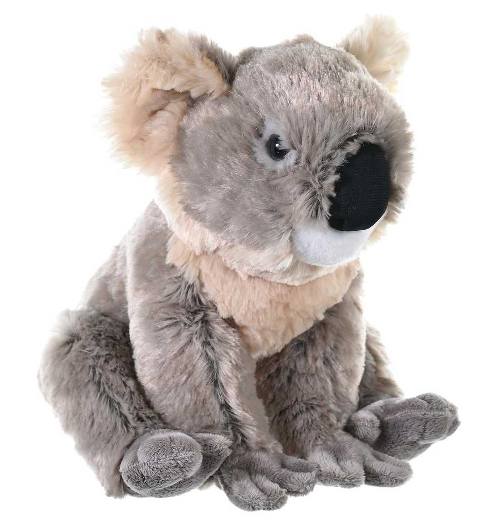 Koala plush toy (30cm)