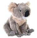 Koala plush toy (30cm)